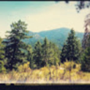 Meet your Posher, Moshe